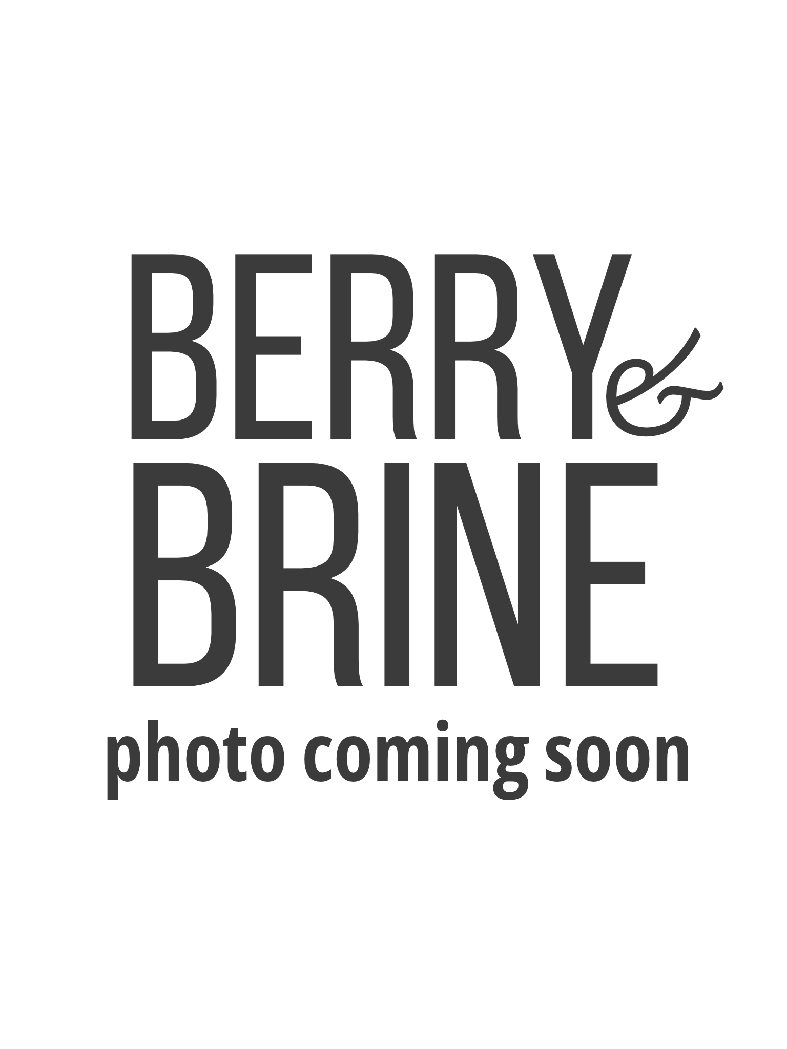 genoa-salami-mozzarella-ciabatta-with-balsamic-onion-jelly